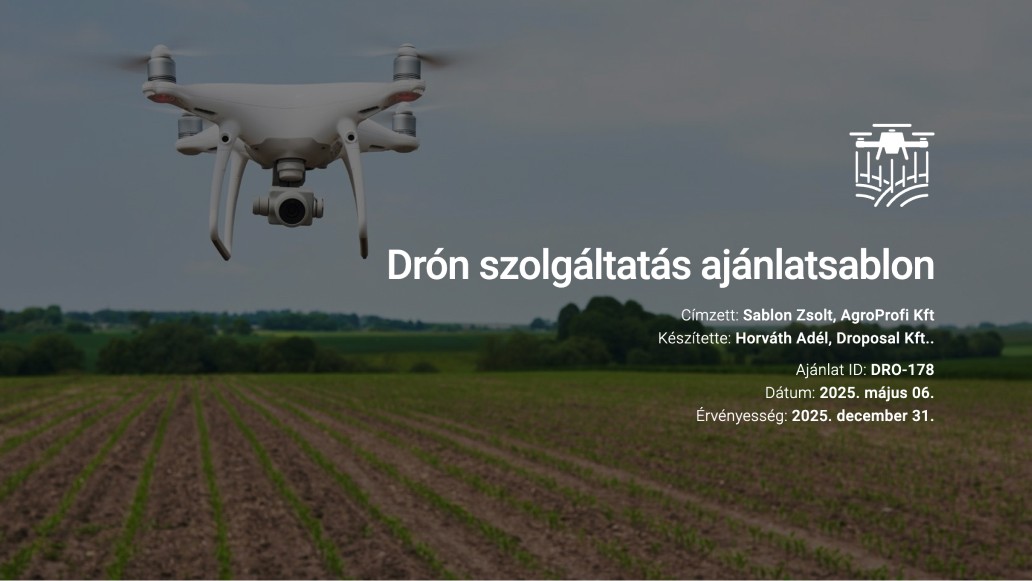 Drón szolgáltatás ajánlatsablon